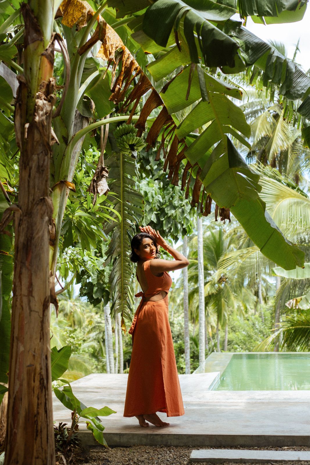 Faya Orange
